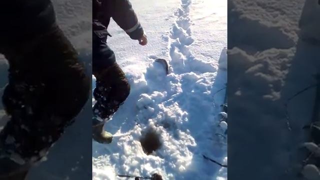 Проверка рогаток на озере смотреть онлайн