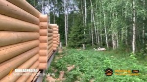 Строительство дома из оцилиндрованного бревна Д-260 мм. в Чехове.