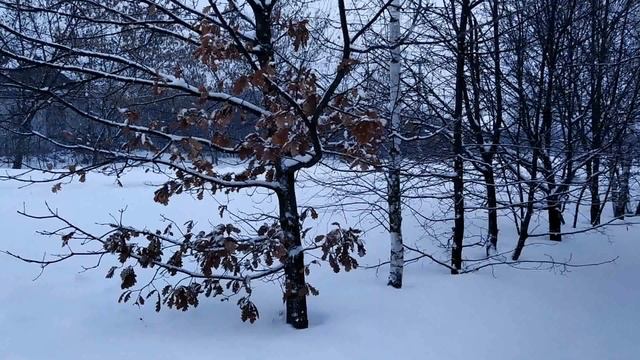 ЕМЕЛЬЯН ЗИМНИЙ 21 января. Запить своё счастье.Стерпится-слюбится.