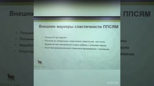 W образные приседы, механизм