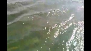 Отдых (карьер Зугрэс)