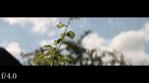 Anamorphic lens - 35-НАП2-3М (35-NAP2-3M) - Test