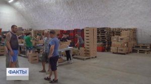 Фермер Александр Семеренко: кооперативы упрощают реализацию товара