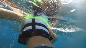 Красота Красного моря подводный мир коралловый риф в Шарм эль Шейх