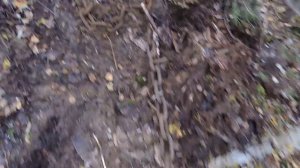 Металлокоп На Развалинах Пилорамы. Отличный Коп Металла И Очень Тяжелые Находки. Тонна За День.