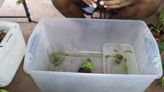 WHATS PROPPIN - WHATS IN MY PROP BOXES смотреть онлайн