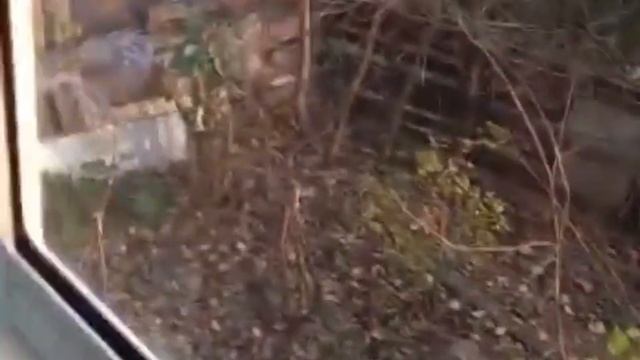 Остекление от пола до потолка. Французский балкон. смотреть онлайн