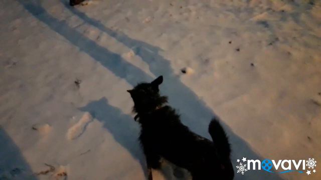 Влог.В Москве наконец снег!Январь 2020. смотреть онлайн