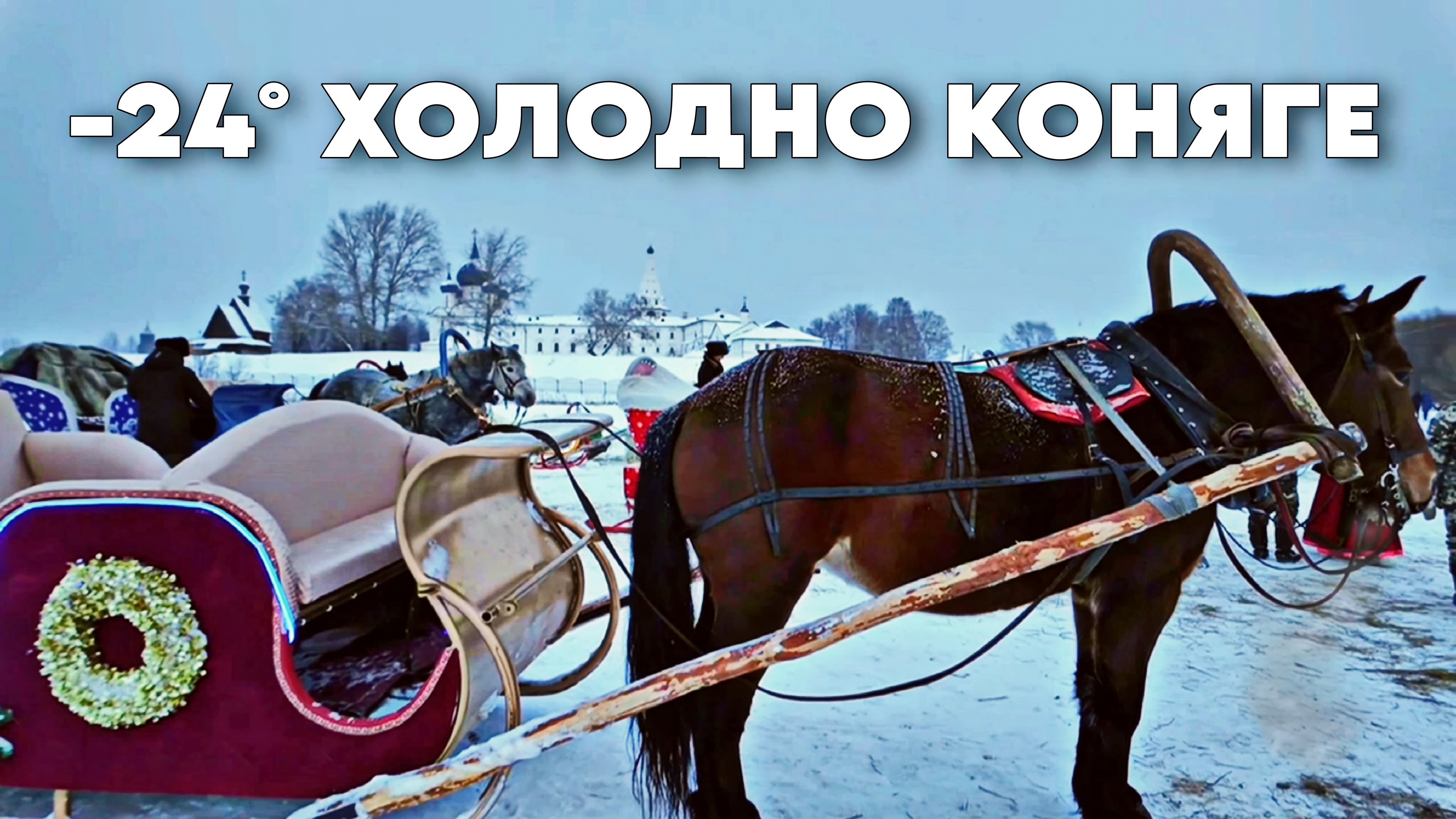 24 саней