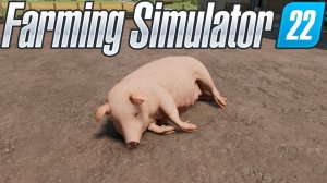 Свиноферма с визжащими поросятами. Farming simulator 22. Кооператив - 52.