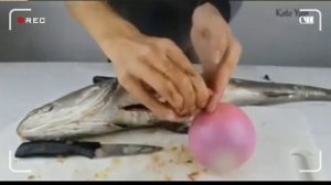 Kate Yup Deleted Video ( REUPLOAD )