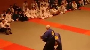 Реальное Айкидо, Любомир Врачаревич.