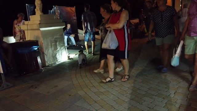 №709 Объедаемся в хинкальной в Адлере ▪ Тусуем на ночной набережной ▪ УТРО ▪ Что пьём? смотреть онлайн