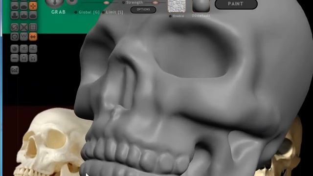 Sculptris - как слепить череп человека урок № 2 смотреть онлайн