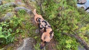 Озеро Кучерла. Алтай. Одна из частей пешего маршрута.