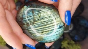 Лабрадор. Защитные свойства