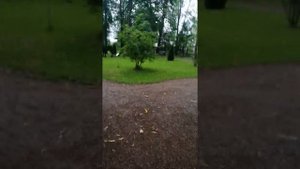 Воздуходувка stihl sh 86