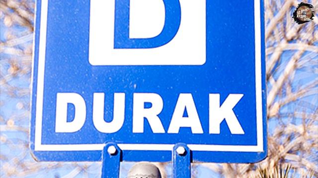 583,Что ни делает дурак, всё…,1ч,tech dancer смотреть онлайн