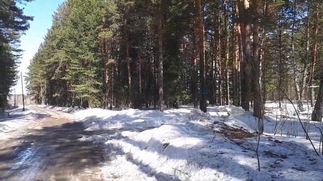 Поворот на Заимку перед д Козюлино 20210410 смотреть онлайн