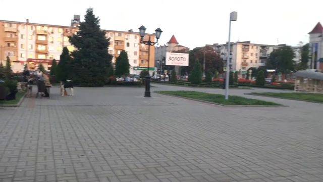 Кропоткин Краснодарский край Кубань Нашествие бродячих собак смотреть онлайн