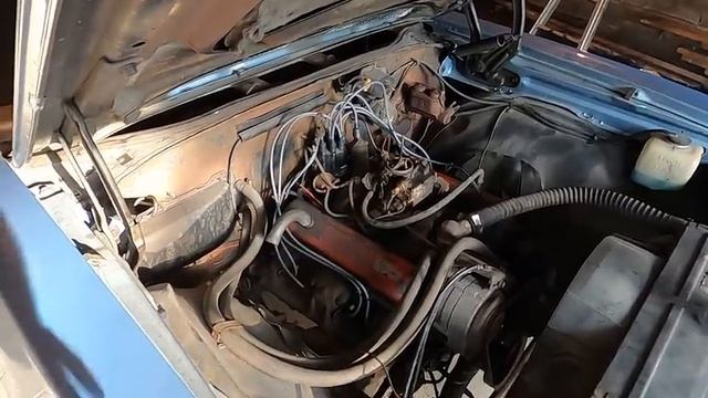 FORGOTTEN 1969 Chevelle Will it RUN AND DRIVE 500 MILES Home? смотреть онлайн