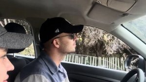 ЮАР VlOG| путешествие на машине по ЮАР| пляж с пингвинами| бабуин в городе 😱| мыс Доброй Надежды