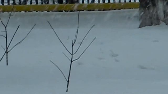 Авторское - "Город спит...". смотреть онлайн