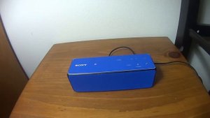 Sony SRS-X33 Speaker Review