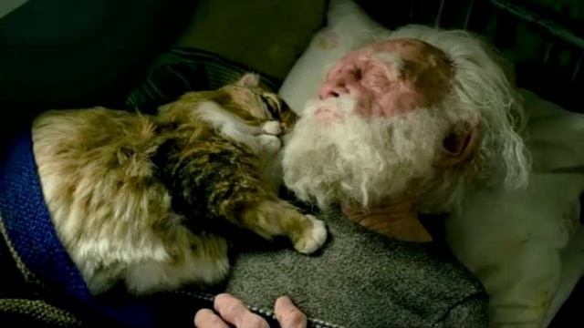 Сон опустился над крошкой Автор и режиссёр Олег Черный Поёт композитор Елена Егорова Все фото и смотреть онлайн