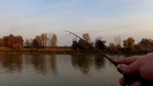 УНИВЕРСАЛЬНЫЙ УЛЬТРАЛАЙТ СПИННИНГ с АлиЭкспресс. ACE HAWK CU DOUBLE для микроджига, блесен, твичинг