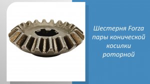Шестерня Forza пары конической прямозубая