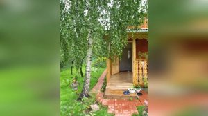 САД МЕЧТЫ своими руками. Начало озеленения. Ландшафтный дизайн своими руками