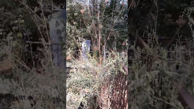 Русскоязычное кладбище Самаркандской области города Джамбай