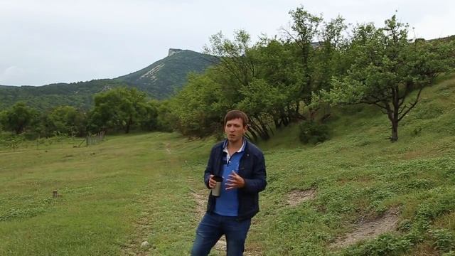 Гектар в Крыму за 400тр