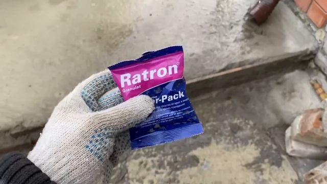 вот вот родит БЕЖКА и что с ГРЫЗУНАМИ смотреть онлайн