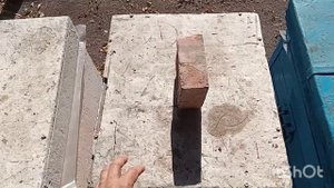 Пропала матка осенью , что можно сделать.