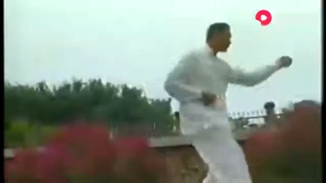 Song Shi Xingyi Quan/Сун Ши Синъи Цюань (宋氏形意), Song Guanghua (宋光华), Zuo You Lian Huan Quan (左右连环拳)