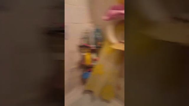 сержант полиции Королёв выгоняет человека из его дома жилья часть 2 г Лесной Свердловской обл смотреть онлайн