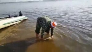 Рыболовная база "На-Волгу.РФ".  Отпускаем сазана.