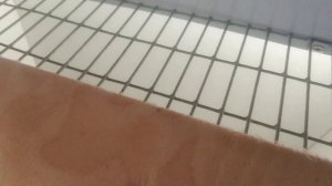 Первая Мини-ферма Макляк-7.0 выходит в жизнь.