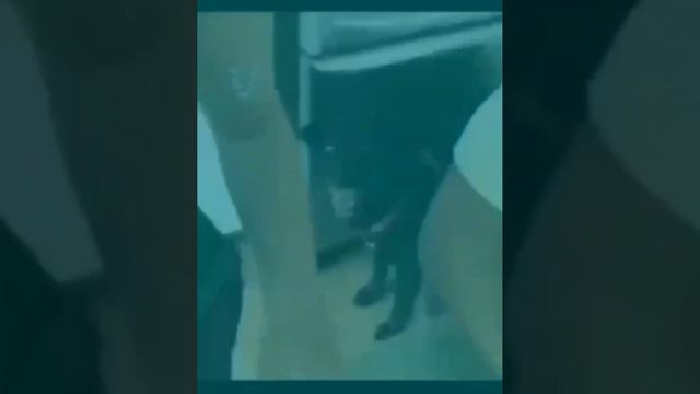 Мы не ищем лёгких путей 🤣 смотреть онлайн