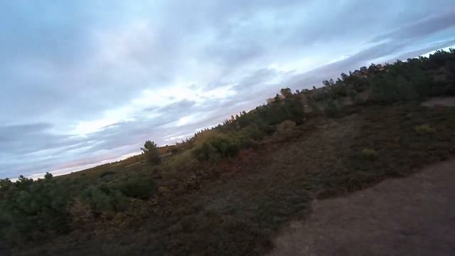 Walkera Runner 250 Advance Drone 5.8G FPV GPS System - Test Flight with Go Pro Hero смотреть онлайн