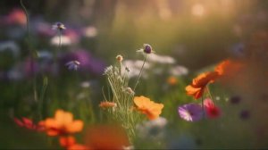 О дивный новый мир!