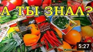АПРЕЛЬ: какие ОВОЩИ сеем на рассаду????