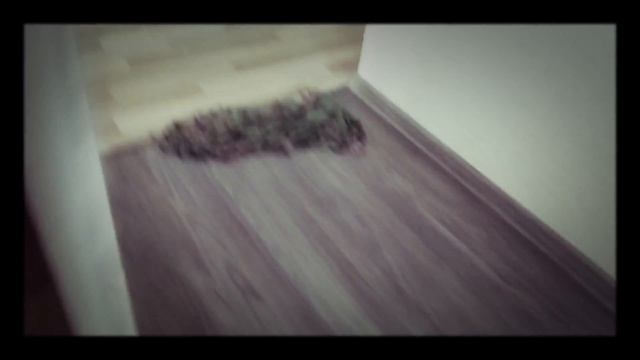 Куколки выпрыгивают из окна 3 этажа смотреть онлайн