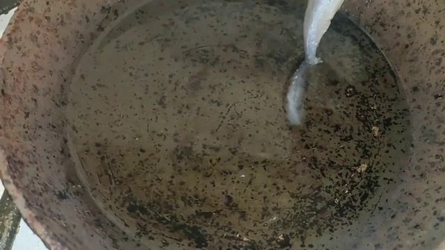 Как жарить мойву. Как жарить рыбу. Жареная мойва - королевская рыбка)) Безумно вкусно!!!!