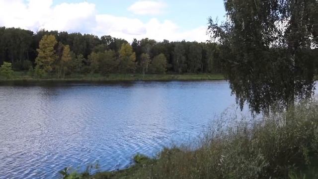 Прогулки с Баженовым  Лосиноостровский район