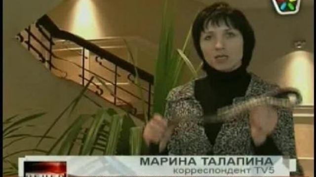 насилие в семье Акция протеста
