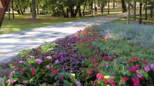 Сад Будущего в Москве \ The Garden of the Future. Moscow