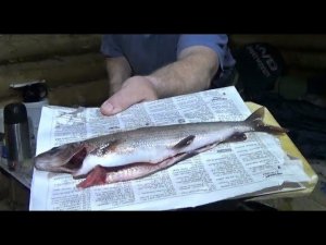 ОДИН В ВЕСЕННЕЙ ТАЙГЕ \ Закрытие сезона \ Часть 3 \ Рыбацкая кухня \ Таёжный быт